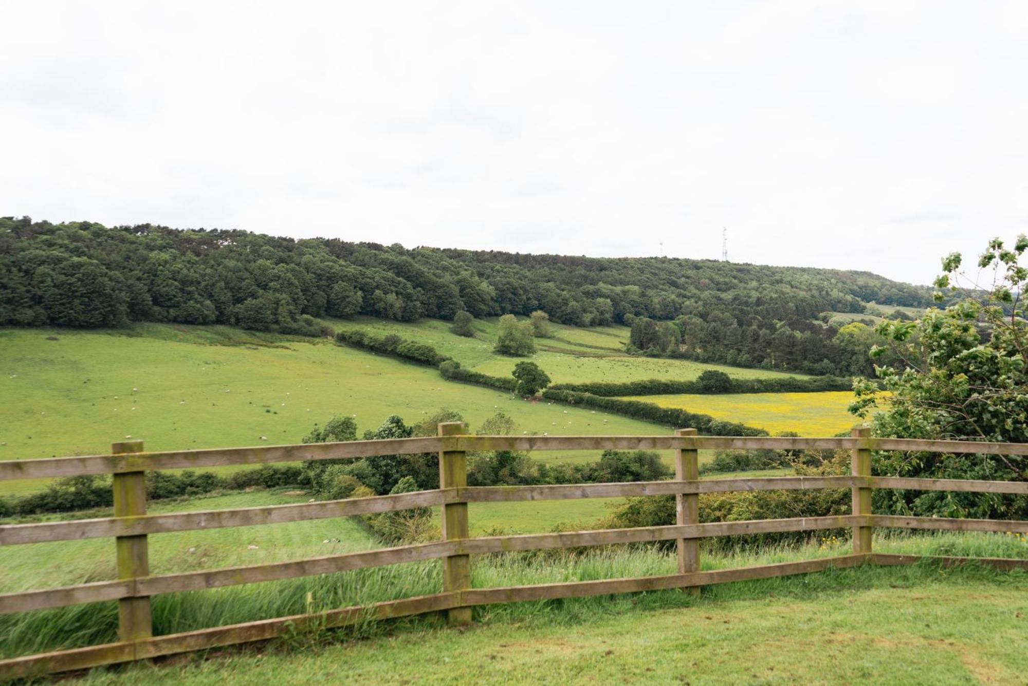 The Spinney Scarborough Luaran gambar